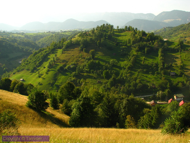 2008-09-01 16-14-26.JPG - 2008-RO>Ri Rucar